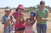 Liberando unos cernícalo en la localidad madrileña de Meco con niños que habían colaborado en el censo de la colonia de primillas ubicada en la iglesia parroquial.