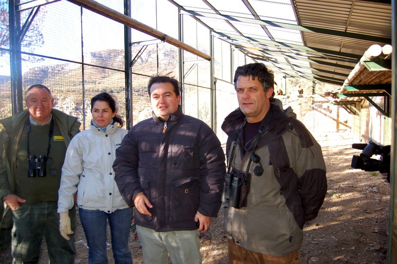  De izquierda a derecha Modesto (Reserva de Boumort), Mercedes y Alfonso (REE) y Ernesto (GREFA) visitando las jaulas de aclimatación 