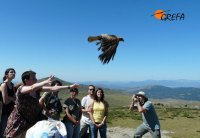 LIBERACIÓN EN LA SIERRA DE GUADARRAMA, UN REGALO PARA NUESTROS VOLUNTARIOS.