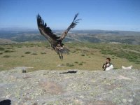 LIBERACIÓN EN LA SIERRA DE GUADARRAMA, UN REGALO PARA NUESTROS VOLUNTARIOS.