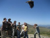 LIBERACIÓN EN LA SIERRA DE GUADARRAMA, UN REGALO PARA NUESTROS VOLUNTARIOS.