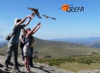 LIBERACIÓN EN LA SIERRA DE GUADARRAMA, UN REGALO PARA NUESTROS VOLUNTARIOS.