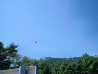 Pañalara, águila calzada, en el primer vuelo al ser liberada