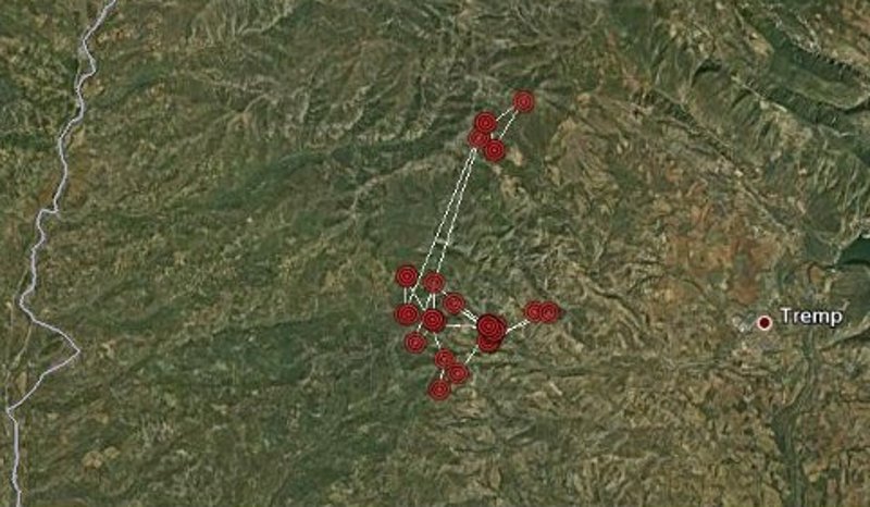 Los primeras localizaciones GPS muestran a Comí alrededor del punto de liberación 