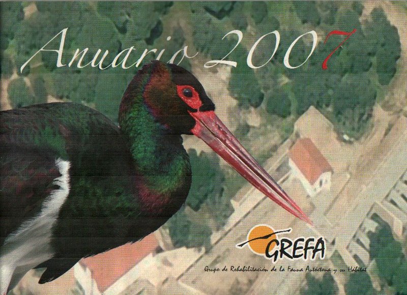 Cigu, la cigüeña negra de GREFA, protagonista de la portada del Anuario'07