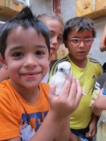 Los niños liberan a sus primillas