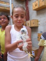 Los niños liberan a sus primillas