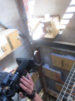 La prensa acudio a la liberación de los cernícalos primilla