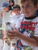 Los niños liberan a sus primillas