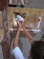 Los niños liberan a sus primillas