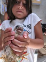 Los niños liberan a sus primillas