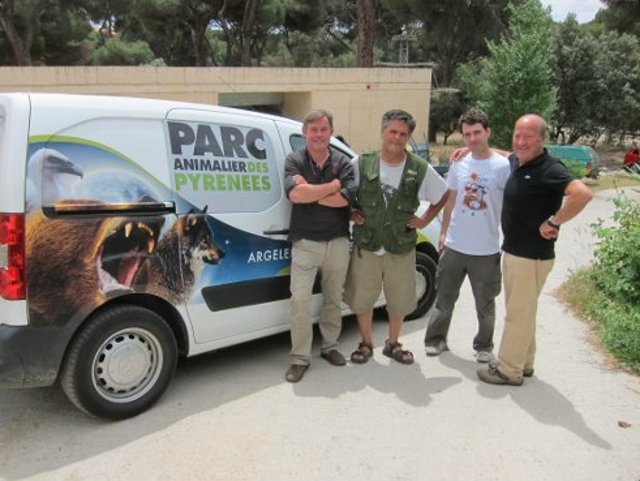 GREFA cede una pareja de buitres negros al Zoo PArc Animalier des Pyrenees