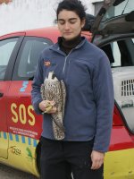 Sandra con el halcón momentos antes de la liberación.