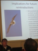 Momentos de la exposición de Phil Whitfield sobre el proyecto de reintroducción del pigargo en Escocia.