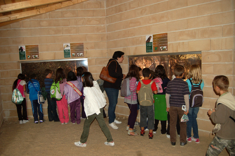 Niños de un colegio madrileño visitando una de las instalaciones del Centro Naturaleza Viva.