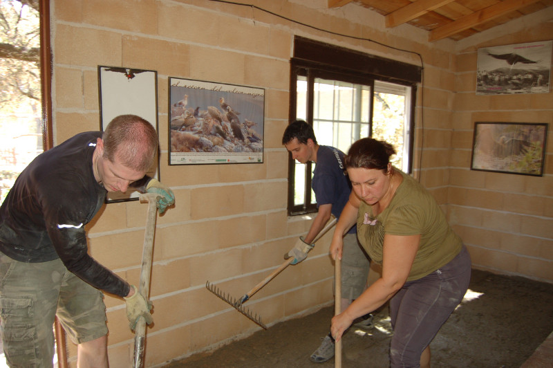Varios voluntarios del campo internacional de trabajo de GREFA trabajan en la mejora de las instalaciones de educación ambiental de esta ONG en Majadahonda (Madrid). Foto: GREFA.
