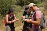 Al finalizar el transecto en El Parque Natural de los Alcornocales se ponen en común algunos datos obtenidos . En este espacio natural gaditano el Equipo de GREFA no valoró negativamente ningún tramo del oleoducto en relación a la presencia  de biodiversidad.