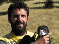 Captura de un buitre negro debilitado en las Zorreras.