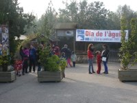 Un cartel anuncia el “Día del Águila”, celebrado el pasado 14 de diciembre en el zoológico Natura Park de Mallorca, a convocatoria de LIFE BONELLI (foto: Carlota Viada).