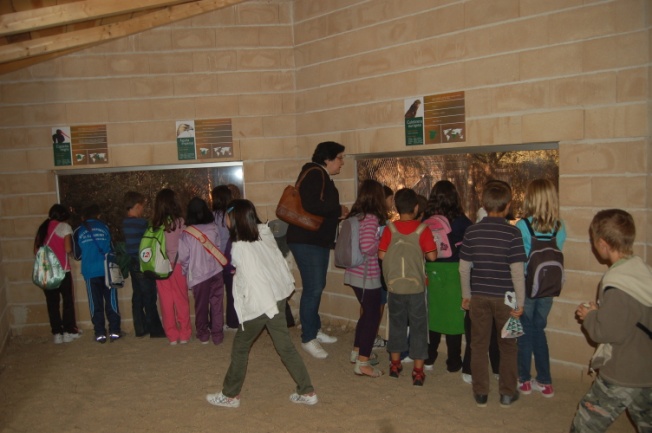 Programa de actividades de educación y sensibilización ambiental para escolares y adultos en GREFA: año 2012