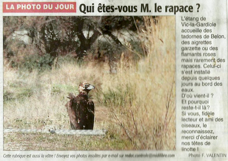 Alzina en la prensa francesa