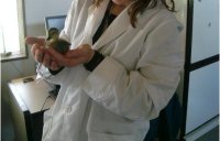 La vida cabe en la palma de la mano