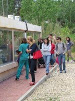 5. Algunos visitantes observan desde una cristalera el sector de enfermería.