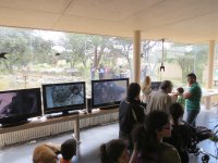 8. Un grupo pasa frente a las pantallas conectadas con las instalaciones de cría en cautividad.