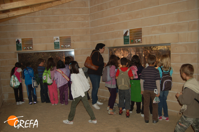 Escolares con profesora visitando la instalación de las grandes águilas.