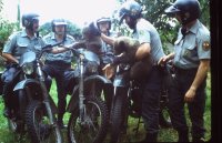 Rescate de dos crías huérfanas de oso pardo. FAPAS y GREFA avisaron para su recogida.