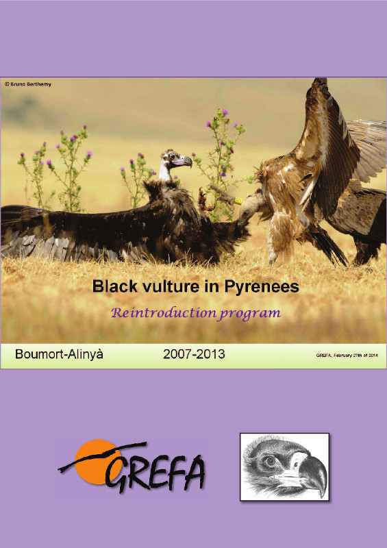 Balck vulture in Pyrenees. Annual report 2013