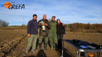 Equipo de GREFA durante el marcaje.