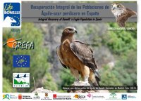 Presentación de LIFE Bonelli.