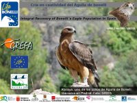 Presentación de la ponencia sobre cría en cautividad del águila de Bonelli.