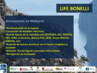 Presentación de la ponencia sobre cría en cautividad del águila de Bonelli.