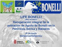 Programa de las acciones de LIFE Bonelli en Navarra.