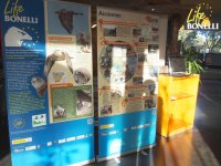 Paneles mobviles de la exposición Life Bonelli de GREFA.