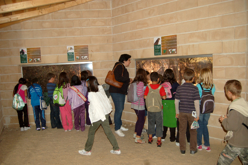 Escolares visitando la instalación de grandes águilas en GREFA
