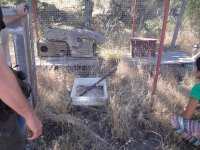 Instalación de aclimatación para las garduñas