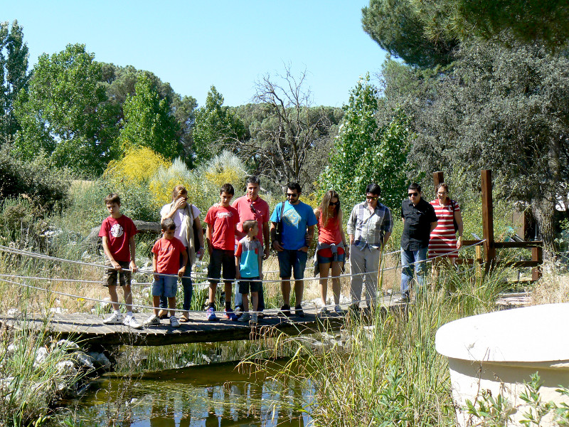 Miembros de CLH cruzando la charca para anfibios en el centro "Naturaleza Viva"