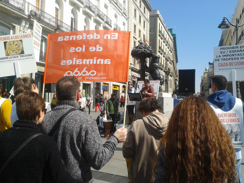 El pasado sábado 15 de marzo se realizó en la Puerta del sol de Madrid un acto de denuncia sobre la caza de leones