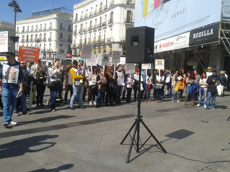 El pasado sábado 15 de marzo se realizó en la Puerta del sol de Madrid un acto de denuncia sobre la caza de leones