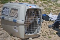 Momento antes de la liberación. Foto: Alicia Gómez