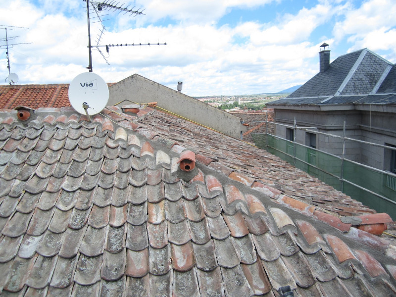 La ciudad de Segovia abre sus puertas al cernícalo primilla colocando nidales artificiales en tejados