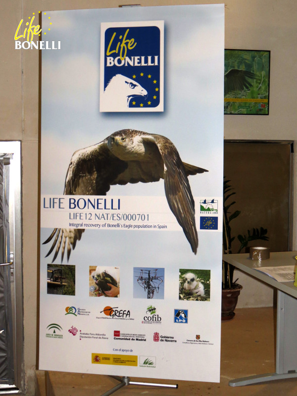 Se celebra en GREFA la IV Reunión del Comité Técnico y de Dirección del Life Bonelli.