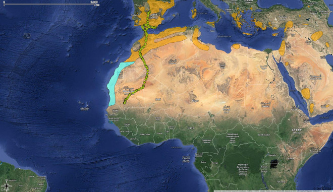 Figura 4. Mapa de las áreas de reproducción (Naranja) y de No reproducción (Azul). El recorrido de "Zahara" en los puntos verdes.