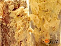 Los troncos untados de manteca y tenebrios