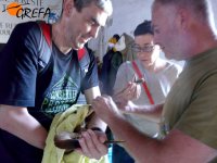 Anillando la garza con anilla de PVC