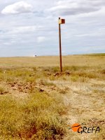 Caja nido para mochuelo