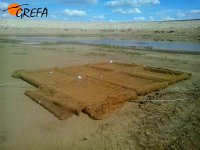 Isla flotante con vegetación acuática